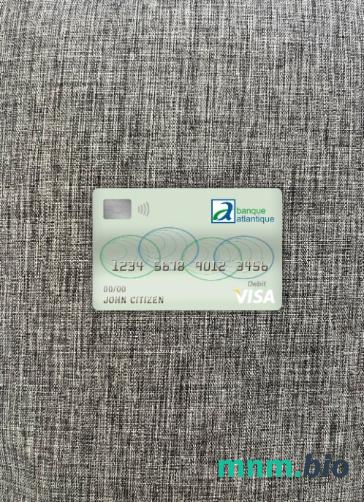 Cameroon Atlantic bank visa obciążyć card wygląd fotograficzny skan PSD + zdjęcie